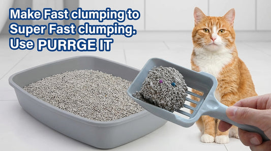 Any 3 Scents - Premium Bentonite Cat Litter